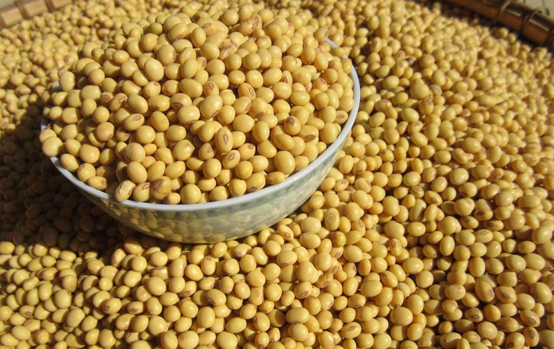 soybeans