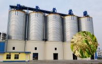 rice storage silos