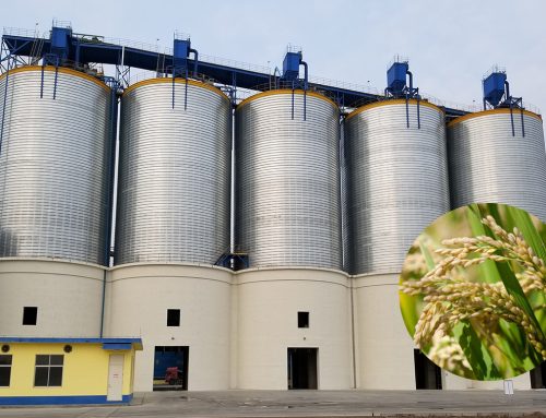 Guide for Rice Storage in Steel Silos